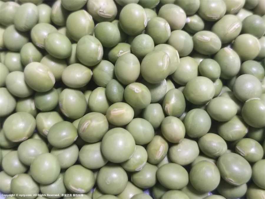 ඹDƬ